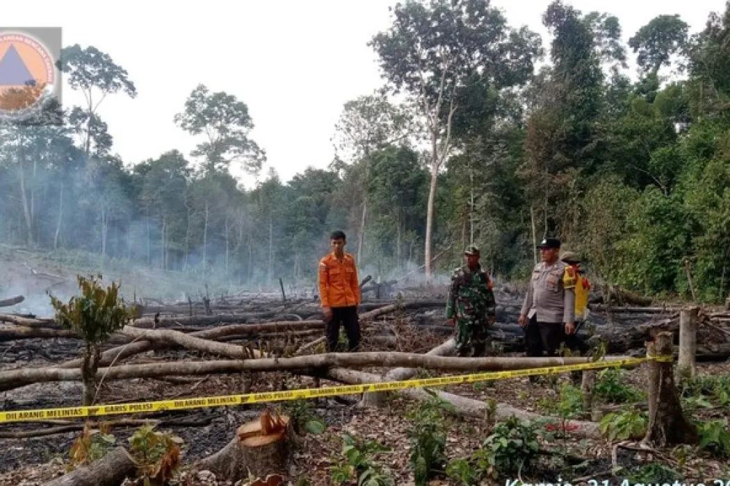 Masuk Musim Kemarau, 5 Daerah di Sumsel Masuk Zona Merah Karhutla