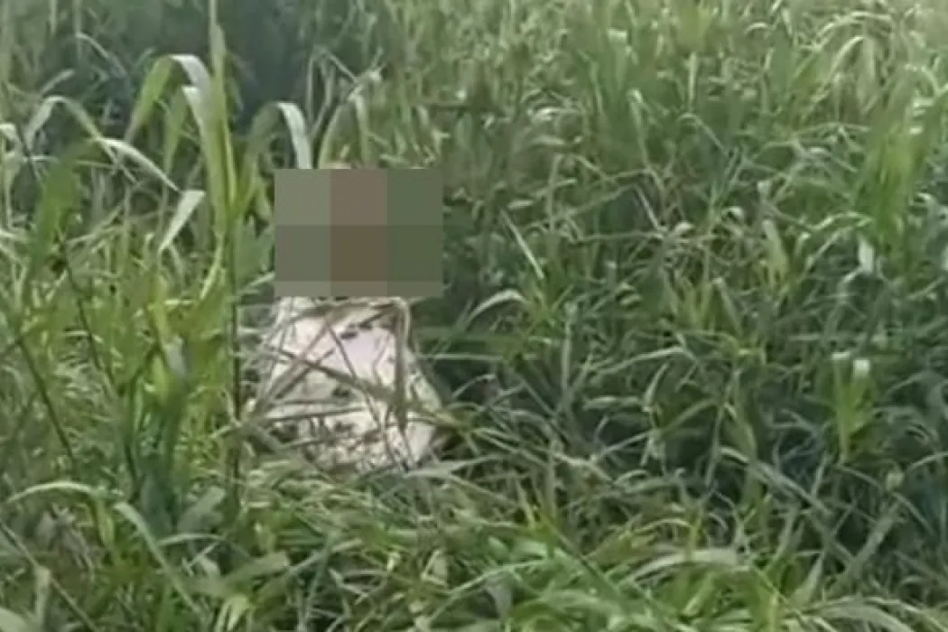 Warga Muba Heboh Temukan Mayat Dalam Karung di Kebun, Diduga Korban Pembunuhan